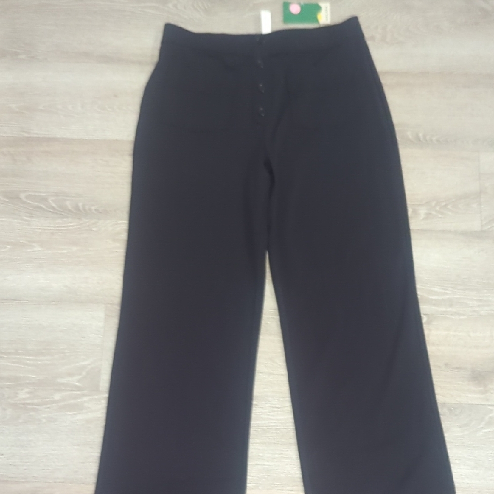 HALARA 1x Wide Leg Pull On Style Pants NWT